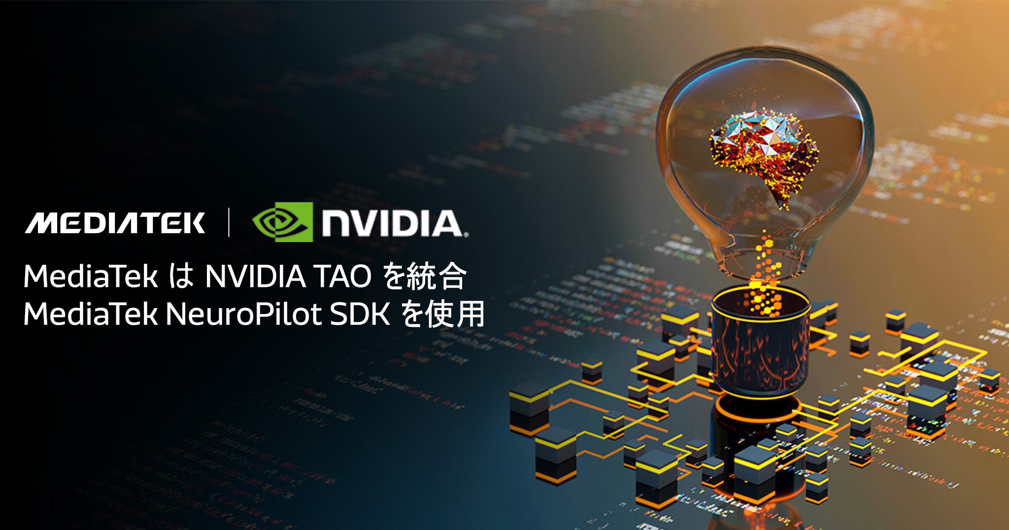 NVIDIA TAO 2048 X1075